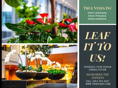 True Vines Operations