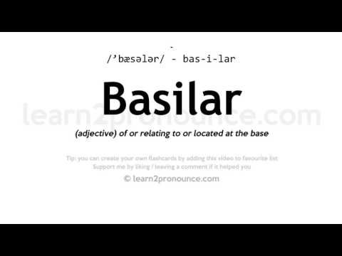 Pronunciation of Basilar | Definition of Basilar