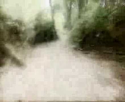 Animal X Classic Series 1 Trailer