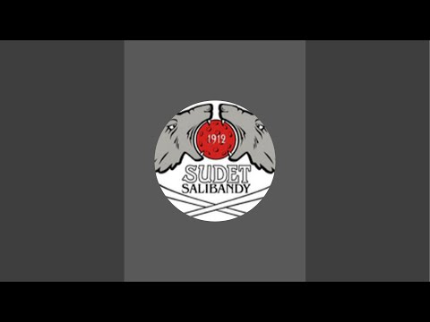 P19 ES+KS: SB-Pro/Blackbirds - Sudet SB | Sudet Salibandy Kouvola