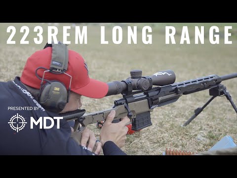 223Rem Effective At Long Range?