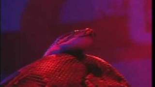 Spirit of Python part 6