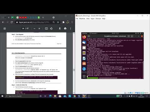 4.3.2.3 Lab – Using Steganography