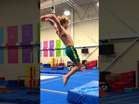 Olympic Diver Flips