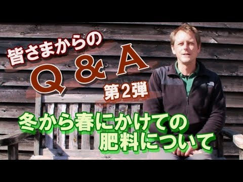 どの菊の肥料を選ぶべきですか？冬になったらどのようにお手入れすればよいでしょうか？  庭園