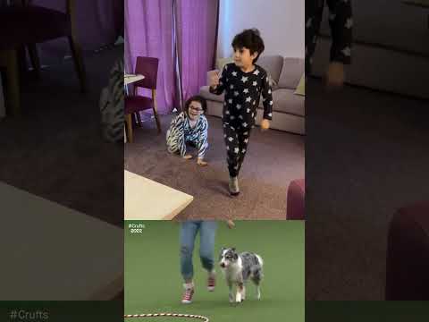 Kids copy Dog dancing routine - Jen and Daiquiri at Crufts