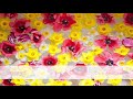 Serengeti Cracks And Creases Official Audio