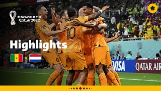 Late Dutch DRAMA in Group A clash | Senegal v Netherlands highlights | FIFA World Cup Qatar 2022