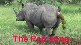 The Poo Song