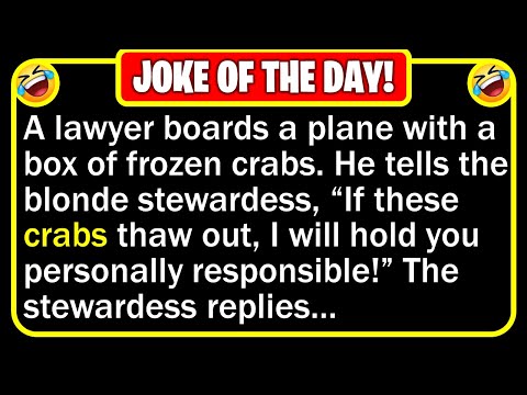 🤣 BEST JOKE OF THE DAY! - A lawyer boards a plane with a box of... (Discretion Advised) | Funny Joke