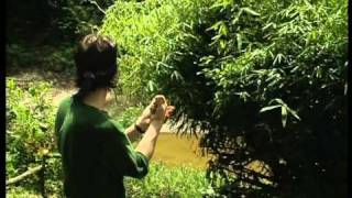 Morten Harket - A Kind Of Christmas Card (Djj Version)