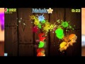 Fruit Ninja HD Arcade Mode