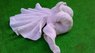 PIGEON - MY TOWEL CREATION