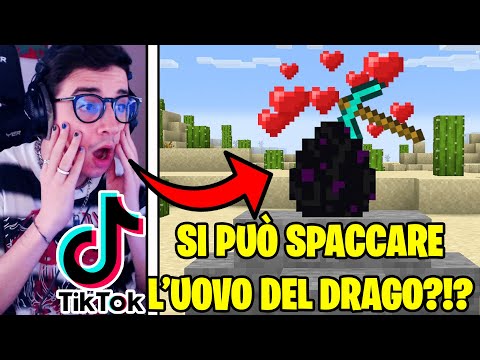 10 TIKTOK *SEGRETI* DA USARE SU MINECRAFT 1.17!!