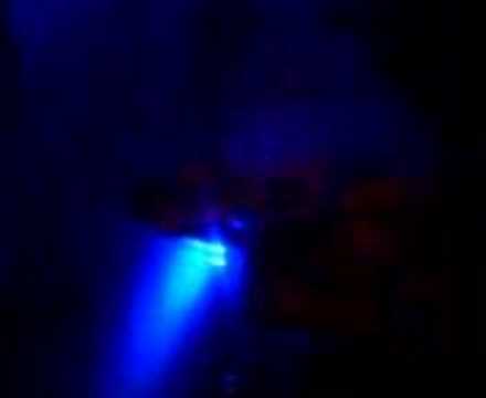 Simone elle est bonne ! Live !