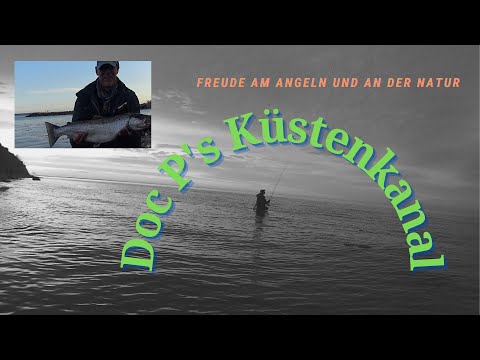 Große Meerforelle im Flachwasser Bereich