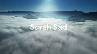Download lagu Surah Sad. Sheik Hani Ar-Rifai mp3