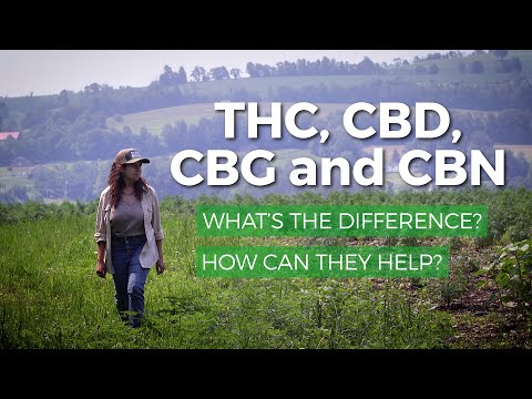, title : 'Marijuana THC vs CBD, CBG, CBN: What’s the difference? What are health benefits of each?'