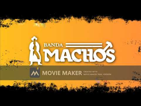 Sangre de Indio, Banda Machos, Un Indio quiere llorar, Leña de Pirul