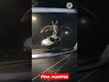 Bat Monster Flying The Car Subscribe Maa Monster Subscribetomychannel Monster Shortsvideo