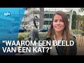 Ziekenhuiskat Wodka verdient een monument: "Het was een bijzondere kat"