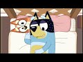 Bluey Bingo Pretend To Be A Crazy Pillow