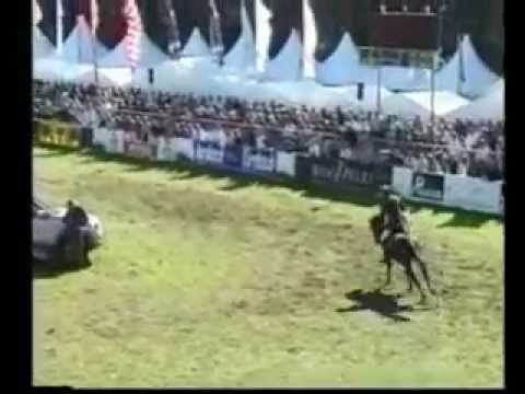 Gestüt Ligges Captain Fire