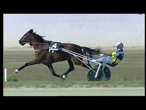 Napoli Trotto 12/09/2021 - 5ª corsa