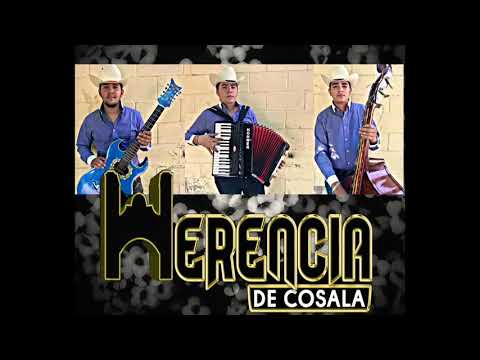 Los vergelitos. HERENCIA DE COSALÁ EN VIVO CON TOLOLOCHE (2018)