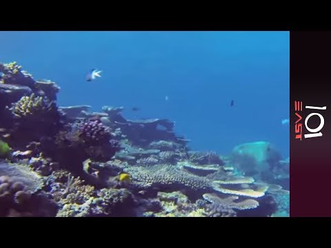Great Barrier Reef Race