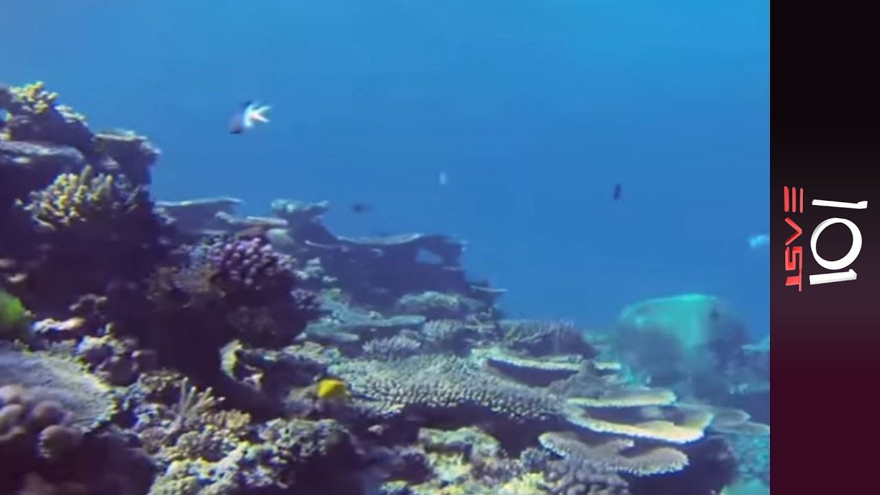Great Barrier Reef Race