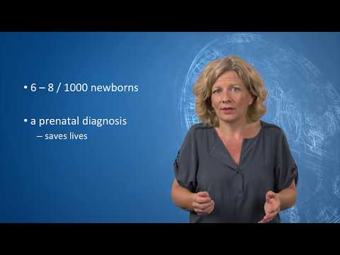 Monique Haak on fetal heart defects