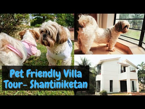 My Puppies are in love with this villa | Beautiful Pet friendly villa in Shantiniketan - Tour
