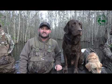 ARS - Mossy Pond Andy Morris Hunt