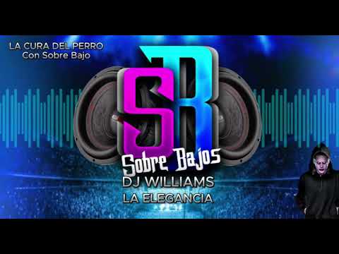 LA CURA DEL PERRO CON SOBRE BAJO