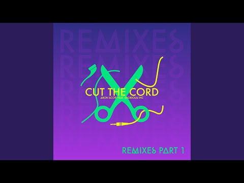 Cut the Cord (Damien N-Drix Remix)