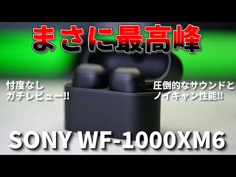 【忖度なしガチレビュー】まさに最高峰。SONY WF-1000XM6が“コンサートホール”すぎる‼