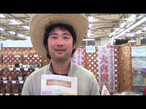 園芸 詩人のカーネーション