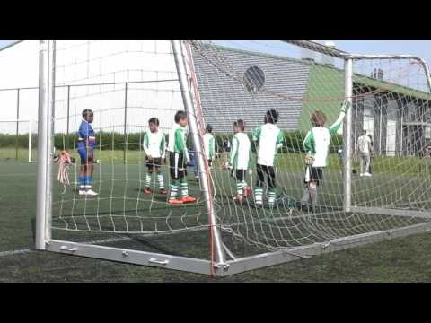 Haagse hout derde plaats