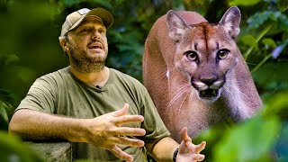 Costa Rica Wildlife Sanctuary - Volunteer Reviews | The Great Projects