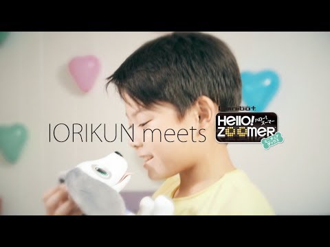 ハロー！ズーマー　ミニチュアダックスと遊ぼう！　オムニボット【いおりくん】【オムニボット】