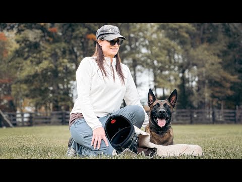 "Rush" BRN 45727 - protection