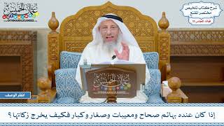 1848 - إذا كان عنده بهائم صحاح ومعيبات وصغار وكبار فكيف يخرج زكاتها؟ - عثمان الخميس