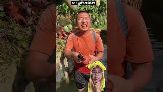 Download lagu Let's eat some mango first #remix #short mp3 Download lagu Let's eat some mango first #remix #short mp3