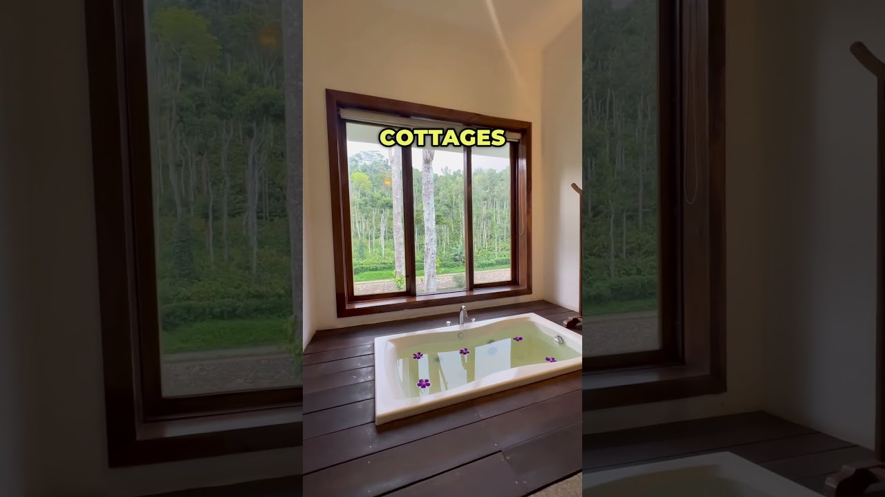 Discover Kerala’s First Tree House Resort in Thekkady! #explore #travel