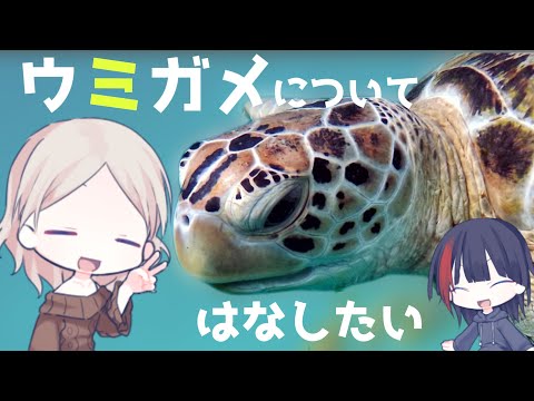 サイトデス・トラシカ