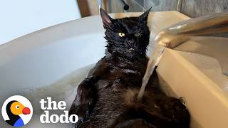 Cat Who Can't Groom Himself Becomes Obsessed With Bath Time | The Dodo
