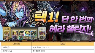 [택1! 단 한 번의 헤라 챌린지/파멸급] 올마이트×파스카 pt.