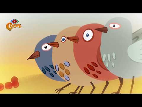 Maysa ve Bulut - Kolaycılık