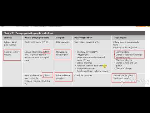 Glossopharyngeal intro 1